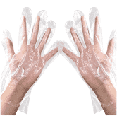 Rex Transparent Plastic Gloves